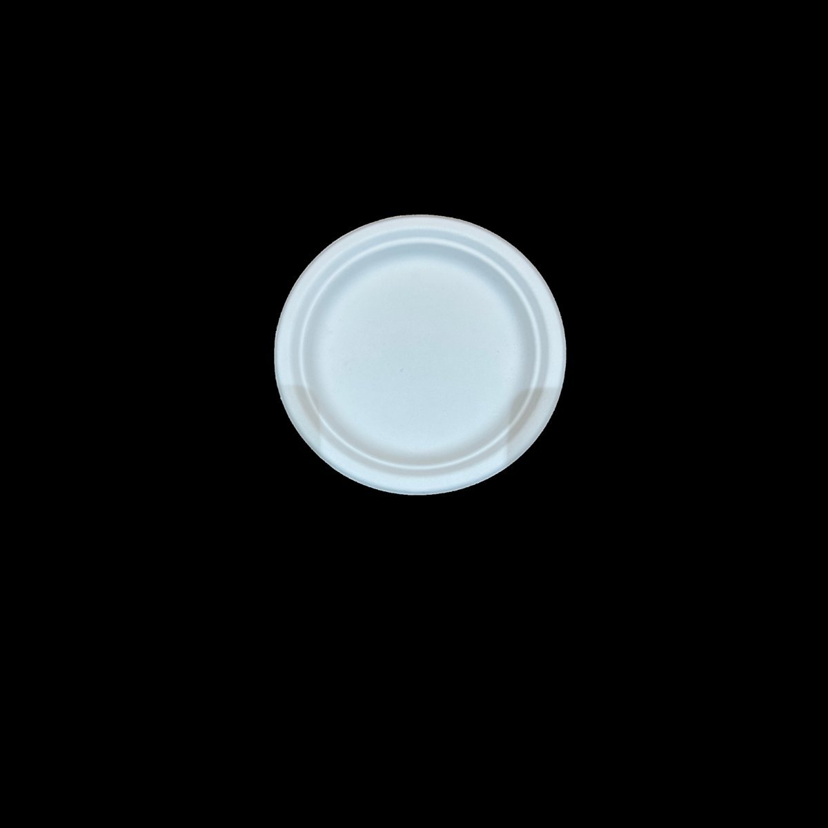 Eco Shree 9" Round Plate made from bagasse